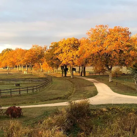 haras du Vignault Le Bûcher-2